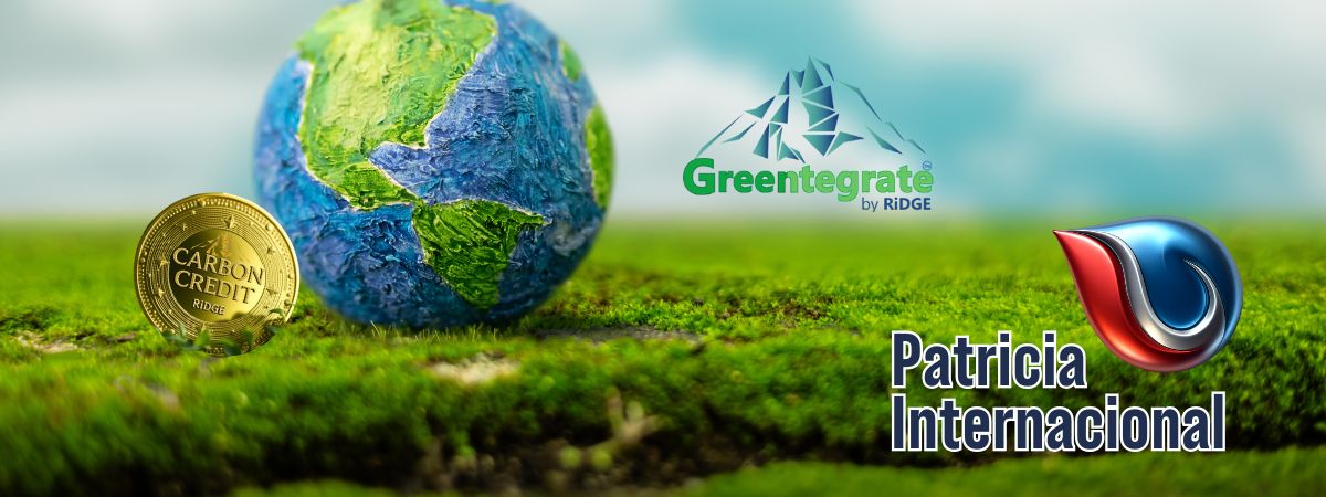 Carbon Credits RiDGE Energy Group